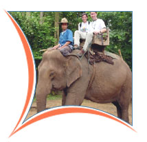 Elephant Ride, Chila Holiday Packages