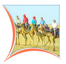 Camel Safari, Diskit Holiday Packages