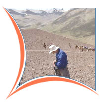 Ladakh Trekking Tours and Travels