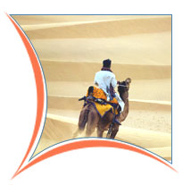 Camel ride at desert, Ajmer Holidays Vacations