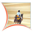Royal Rajasthan Tour