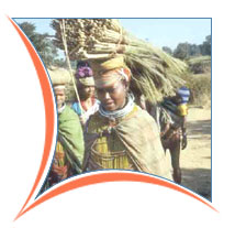 Orissa Tribal Tour