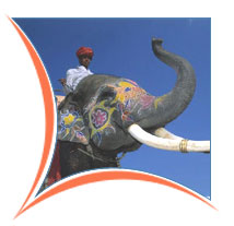 Elephant ride in the park, Bandhavgarh  Tours